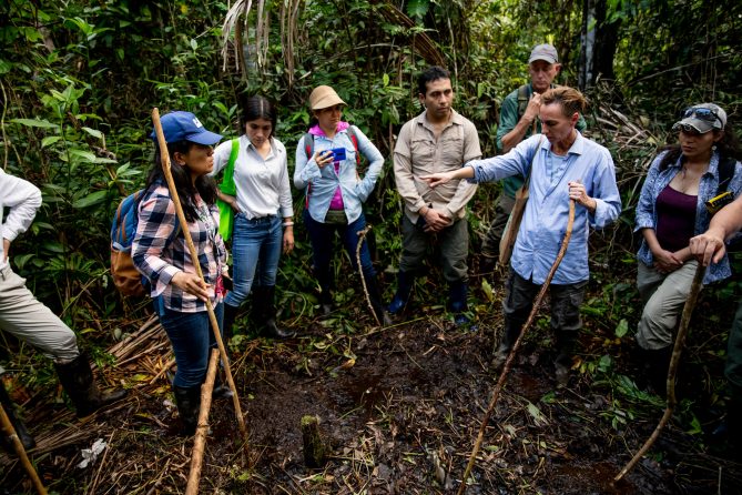 Perangkat Dan Pengetahuan Baru Untuk Pemantauan Lahan Gambut Di Peru