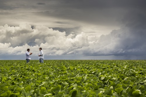 The impacts of biofuel production has been mixed, making it difficult to generalise as "bad" or "good" for the environment, economy and society. Matt Mawson