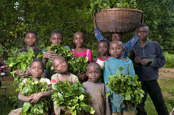Pobladores de Camerún dependen de los productos forestales en tiempos de crisis. Fotografía cortesía de Ollivier Girard/CIFOR.