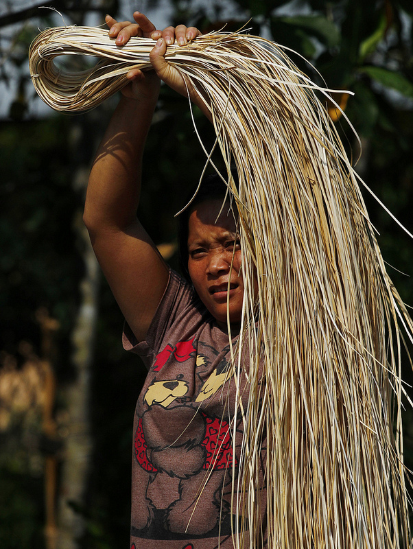 Housewives are re-learning the traditional Dayak tribal craft of rattan weaving. Achmad Ibrahim/CIFOR