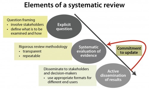 Elements of a systematic review