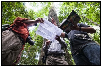 La ONU nos invita a “celebrar y crear conciencia acerca de la importancia de todos los tipos de bosque y de los árboles fuera de los bosques”. Fotografía de Marco Simola