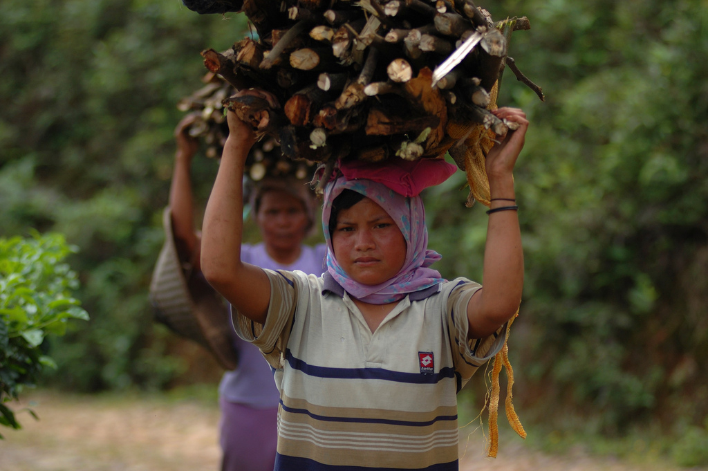 Firewood is still collected by women in many parts of the world. Aulia Erlangga/CIFOR
