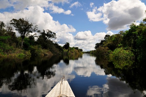 Picture shows a general view of the Amazon - Brazil, 2011. CIAT/Neil Palmer