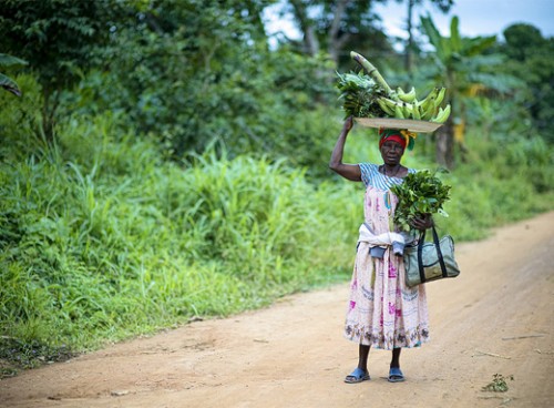 Forests have long been a crucial source of nutritious food for people in Central Africa. Ollivier Girard/CIFOR