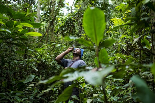 PhD student Prosper Sabongo measures the tree canopy in the billage of Masako, Kisangani, Democratic Republic of Congo. Ollivier Girard/CIFOR