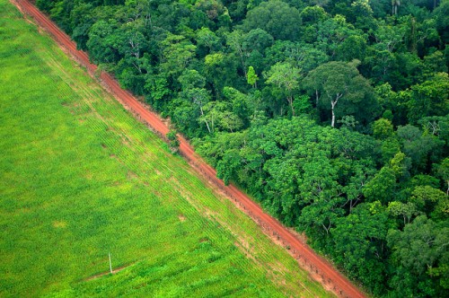 Debat mengenai pedanaan REDD+--skema dukungan PBB untuk menurunkan emisi akibat deforestasi dan degradasi hutan—dan bagaimana mengukur, melaporkan dan memverifikasi emisi karbon, mencuat dalam negosiasi perubahan iklim. CIFOR/Kate Evans