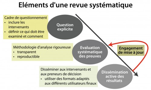 Elements-of-a-systematic-review_fr