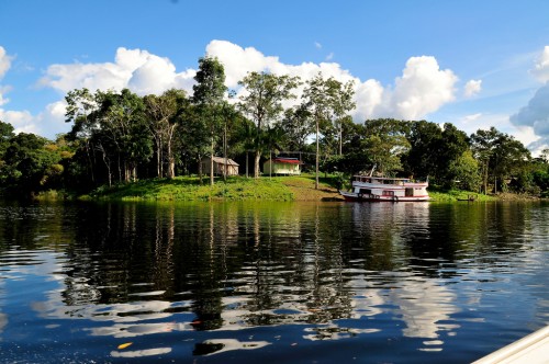 Las personas que viven a lo largo de los ríos Amazónicos están cambiando de sistemas agrícolas a sistemas agroforestales y de silvicultura para resistir las inundaciones extremas. Fotografía cortesía de Neil Palmer/CIAT