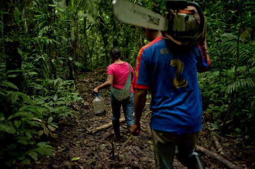 Some communities establish businesses to sell their timber, while others use the forest as a kind of savings account, where families may cut a few trees to pay for school expenses or a medical emergency. Tomas Munita/ CIFOR