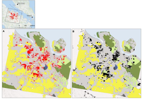 The spatial distribution of the areas that burned (in red) during 17-25 June 2013, under LANDSAT scene 127059 (3.5 million ha; i.e. 7.5% of Sumatra’s landmass, and where 64% of Sumatra’s fire alerts for June were recorded) in Panel A; and the distribution of NASA’s fire alerts (black circles) in Panel B. The spatial distribution of those fire scars was highly correlated with NASA’s point alerts. Our burnt areas are overlaid on a land-use map derived from LANDSAT 8, where yellow reveals industrial oil palm plantations, light green is industrial acacia plantations, dark green is natural forest, and gray is land believed to be primarily controlled by small and mid-level actors. 