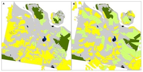 Panel A: Land-use map generated using pre-fire LANDSAT 8 imagery where yellow and light green areas are grid-like plantation systems of oil palm and acacia, respectively, characteristic of companies; and where gray areas are regions dominated by land parcels of varying shapes, size, and orientation, characteristic of small- and mid-level actors. Panel B: Maps of oil palm (yellow) and acacia (light green) concessions held by companies according to national and provincial government land-use maps. Dark green areas are remaining natural forests, black areas are main cities, and dark blue areas are oil and gas zones. 