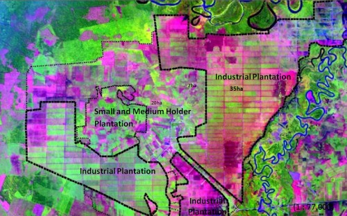 A snapshot over the 24 May 2013 LANDSAT scene (127059) in 1:70,000 scale. The grid-like land parcels system where the shape, size and orientation of the parcels are all the same is clearly visible. This spatial arrangement characterizes established industrial plantations owned by companies. Clusters of land parcels of varying shapes, size and orientation are also visible, this being characteristic of small- and medium-holders.