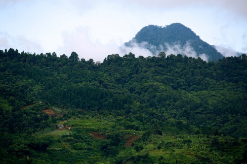Vista del Parque Nacional Halimun-Salak, al Este de Java, Indonesia. Fotografía de Mokhamad Edliadi/CIFOR