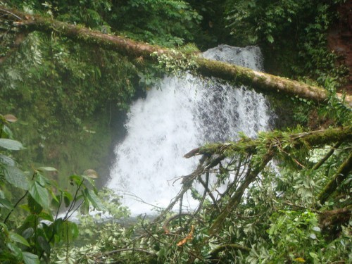 Un estudio muestra que las áreas que contienen altas concentraciones de carbono y biodiversidad no siempre son las mismas, afirma Bruno Locatelli, científico del Centro para la Investigación Forestal Internacional y del Centro de Cooperación Internacional en Investigación Agronómica para el Desarrollo. Fotografía cortesía de: DrWho