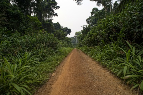 View on the way back to Lukolela, Democratic Republic of Congo.