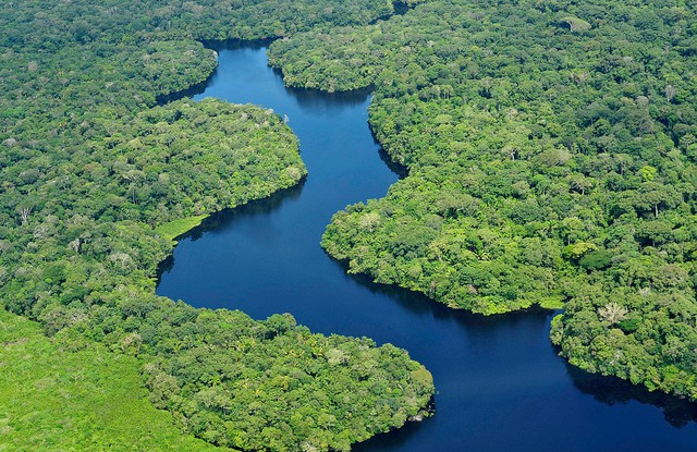 A river winds its way through a tropical forest