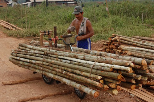 Panenan kayu siap untuk di olah di danau Sentarum, Kalimantan Barat. Para konservasionis mengajukan usul pengabungan kawasan lindung dengan konsesi kayu guna mempertahankan lanskap hutan ketimbang menjaga kawasan tersebut saja. Photo @CIFOR