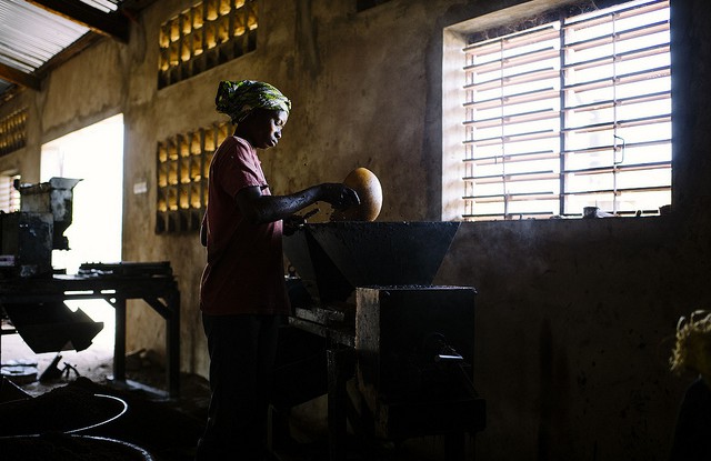 A woman produces shea butter