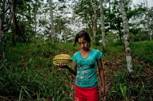 Gadis Kichwa membawa buah-buahan di hutan Amazon Provinsi Napo, timur laut Ekuador. Riset mengindikasikan bahwa masalah kesetaraan sosial dan pembelian lokal sangat penting bagi keberhasilan program pembayaran jasa lingkungan. Tomas Munita/Foto CIFOR 