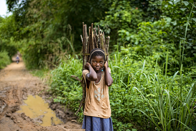 Après Le Sommet Des Dirigeants Etats Unis Afrique Perspectives Depuis Le Bassin Du Congo