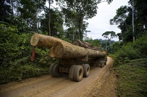 Un camión maderero recorre un camino en el sur de Camerún. Los caminos de explotación forestal pueden ser útiles para estimar la degradación de los bosques, según señala una nueva investigación. Fotografía de Ollivier Girard / CIFOR.