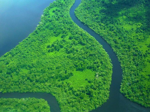 Pantai Karibia Nikaragua, Nikaragua. Bukti menunjukkan bahwa keberhasilan REDD+ membutuhkan reformasi lebih dari sekadar sektor kehutanan termasuk tenurial dan aspek lain tata kelola. Kredit photo Gema Lorio