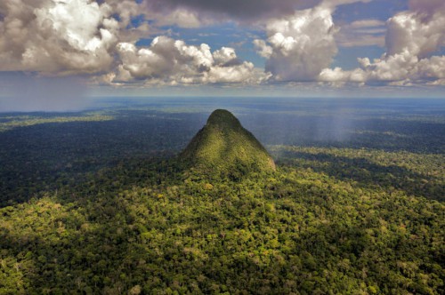 The forested hills of Sierra del Divisor, Ucayali, Peru. Photo courtesy Diego Perez