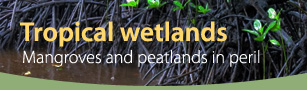 package WETLANDS