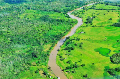 Una ley de promoción económica en Perú mantiene un debate por sus implicaciones ambientales. Foto Neil Palmer/CIAT-CIFOR