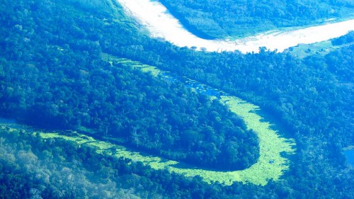 A medida que la COP de París se acerca, es momento para analizar temas claves para los bosques y el sector de uso de la tierra. Foto cortesía de Mariusz Kluzniak, Creative Commons