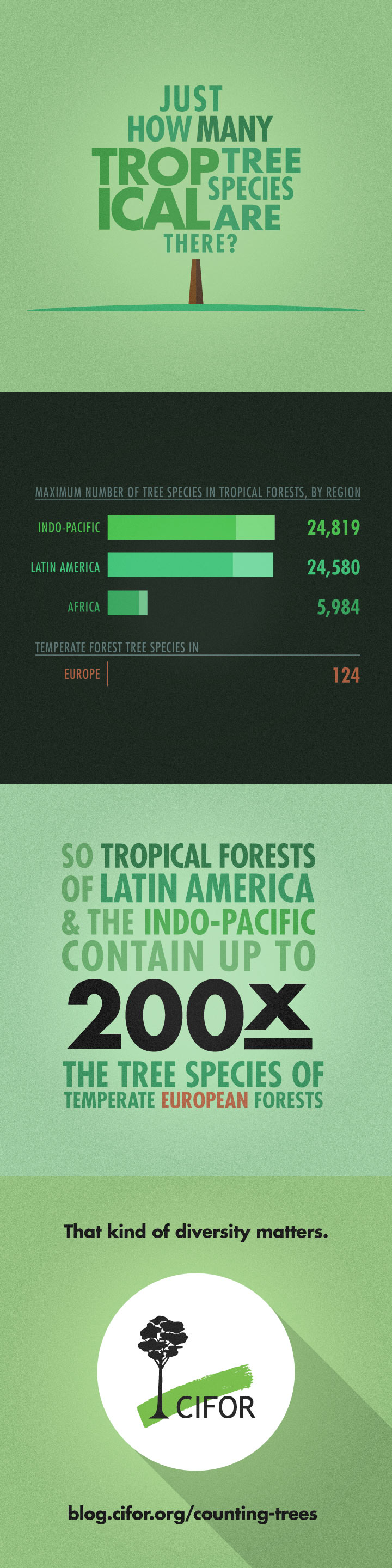 tree-species-static-infographic