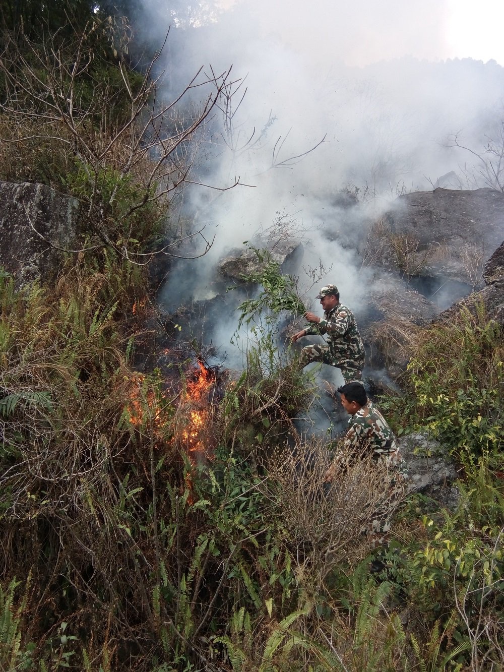 Nepal’s Forest Fires - CIFOR Forests News