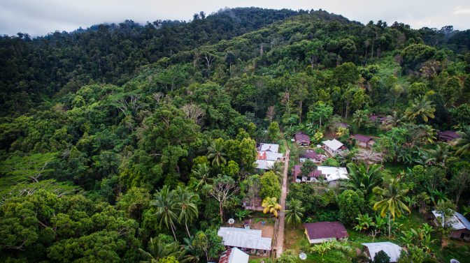 Menyelamatkan hutan musim yang tersisa di Indonesia 