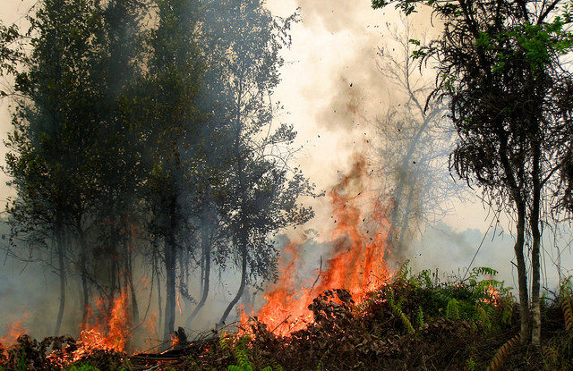 Fires burn in Palangkaraya in Central Kalimantan, Indonesia.