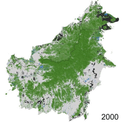 Timelapse of Borneo deforestation 2000-2017. Green to white= forest loss, green to black= forest cleared and converted to plantations in the same year, green to blue= forest permanently flooded by hydropower dams.