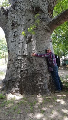 Rober Nasi, DG of CIFOR, hugs a baobab tree, valentine's day