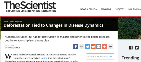 Scientists find a link between deforestation and vector-borne diseases, malaria in Malaysia