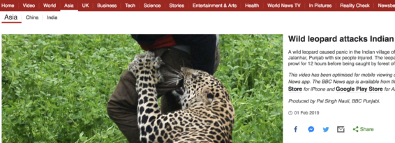 Leopard attacks villagers