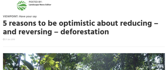 Justin Adans, Global Landscape Forum, 5 reasons to be optimistic about forests