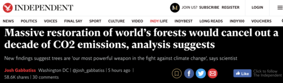 New study using AI says room to plant 1.2 trillion trees on degraded lands, The Independent