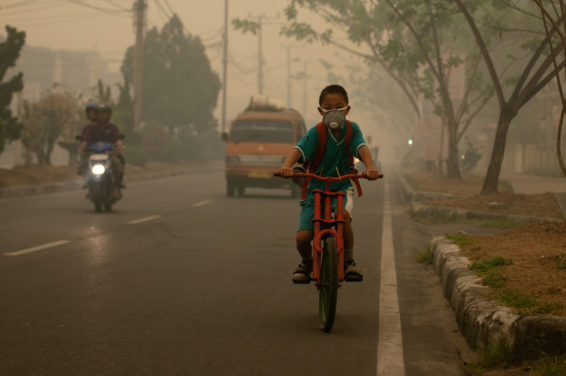 air pollution, face mask, forest fires, fossil fuel burning, haze