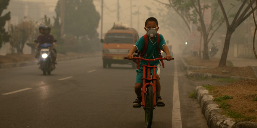 air pollution, face mask, forest fires, fossil fuel burning, haze