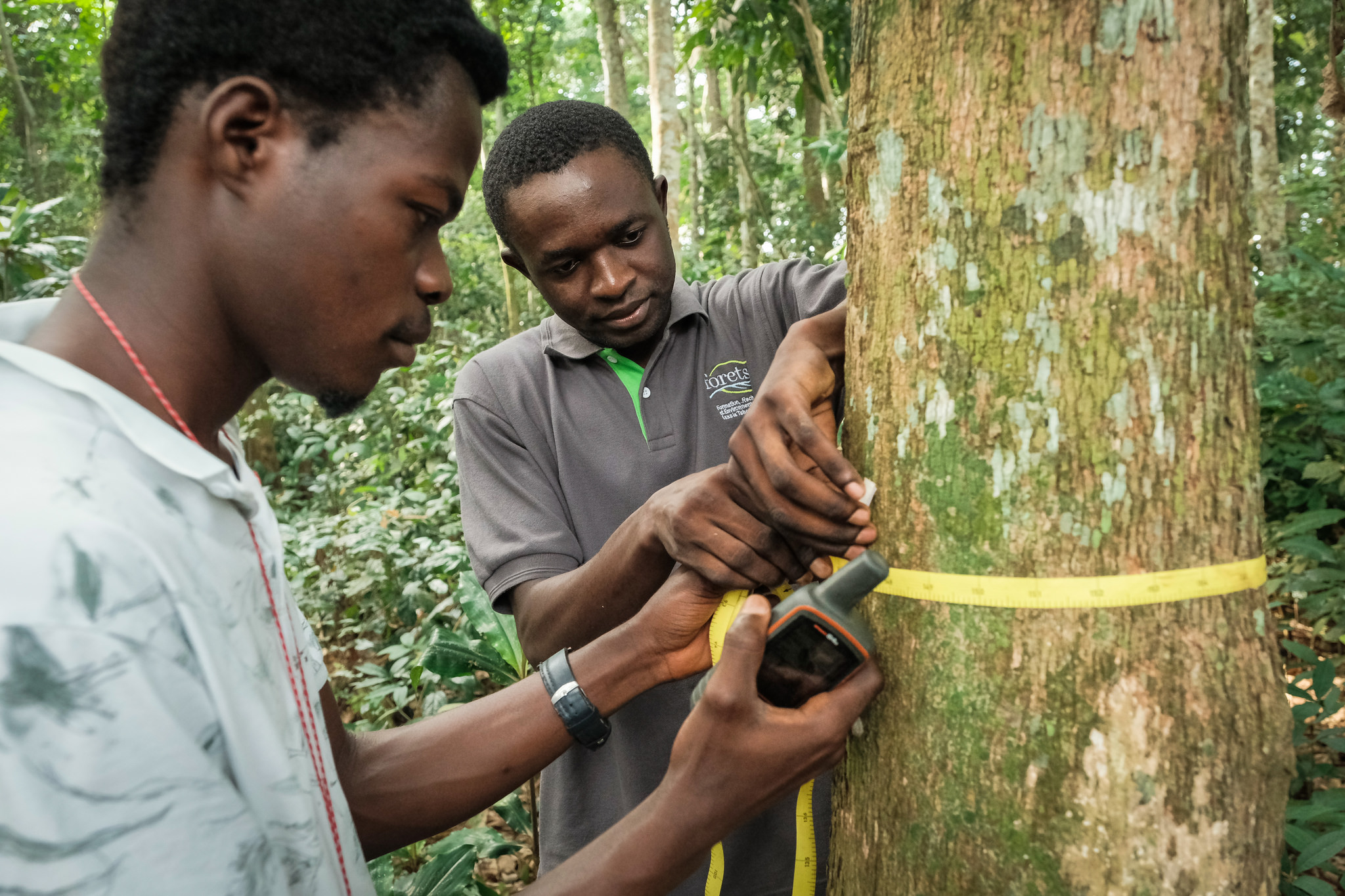 Unlocking the secrets of tropical trees