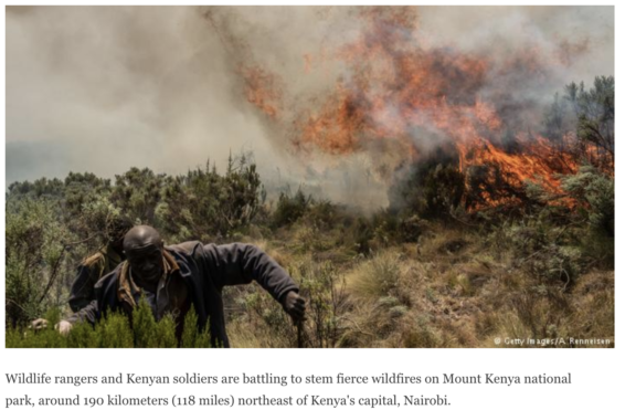 Kenya wildfire, Mount kenya, mount kenya wildfire, wildfire