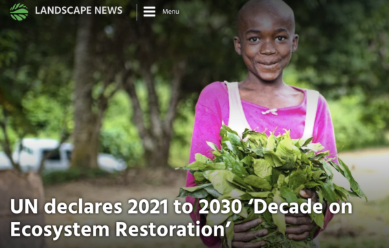 UN, Ecosystem Restoration, UN Decade of Restoration, Landscape News, 