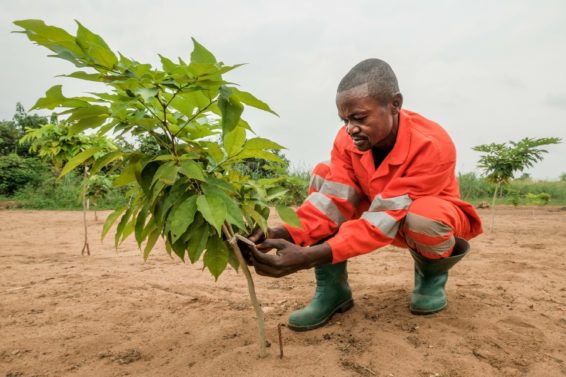 landscape restoration, tree planting, planting trees, Ethiopia restoration, Ethiopia, africa