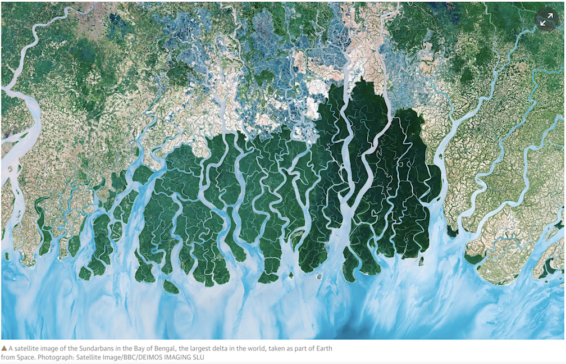 Earth from Space, BBC, satellite