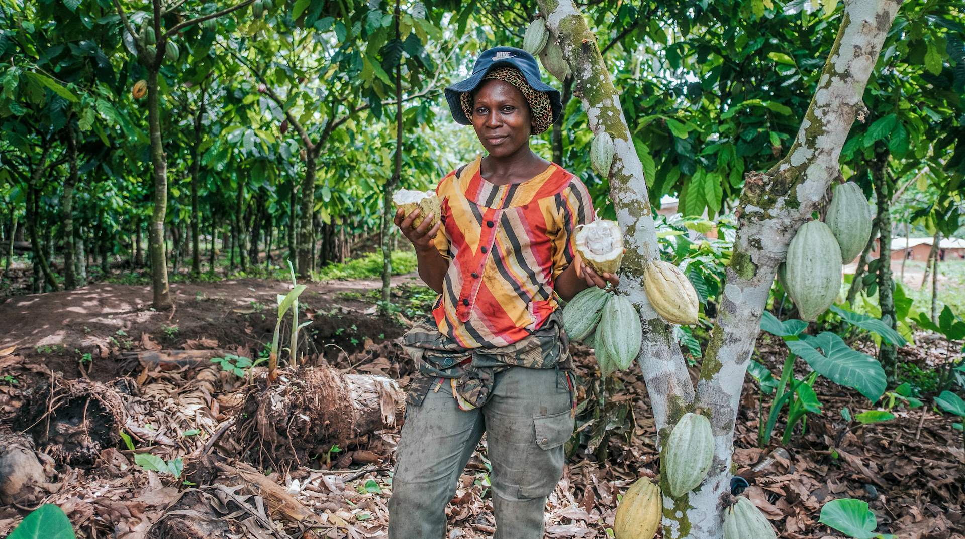 Can forests and smallholders live in harmony in Africa?