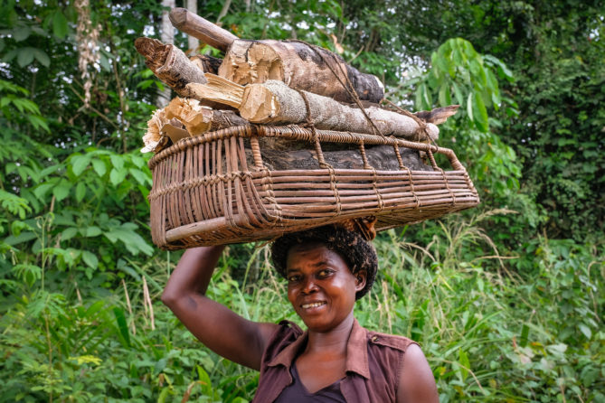 Realizing The Potential Of Sustainable Wood Fuel Value Chains - CIFOR ...